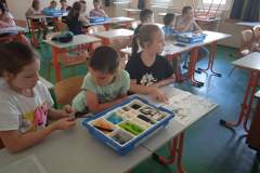 670dd9466ac3d5e1d58a88190477dc59.0