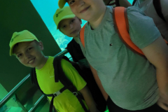 288710980_356416776577085_1063673327621242823_n