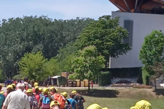 289059174_1063224931067681_1569800705117299283_n